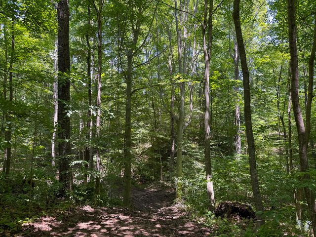 0 Wolf Hill Road, (Tract 2 Wolf Hill), Mcarthur, OH 45651