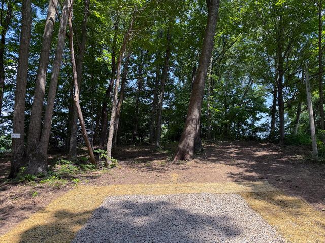 0 Wolf Hill Road, (Tract 2 Wolf Hill), Mcarthur, OH 45651