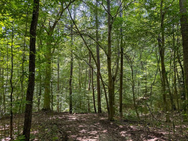 0 Wolf Hill Road, (Tract 2 Wolf Hill), Mcarthur, OH 45651