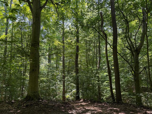 0 Wolf Hill Road, (Tract 2 Wolf Hill), Mcarthur, OH 45651