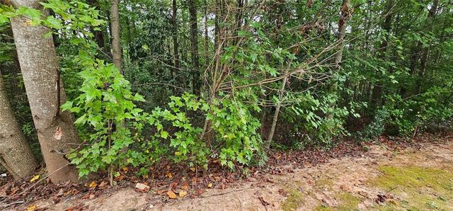 4467 Watson Ridge Drive, Stone Mountain, GA 30083