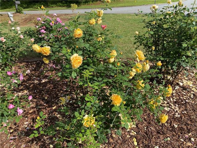 5221 La Paloma SW Drive, Lilburn, GA 30047