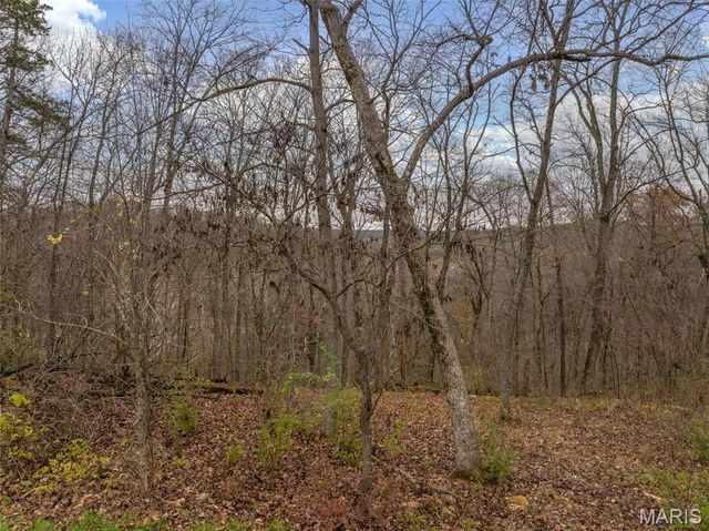 2802 Tyrol Ridge Drive, Innsbrook, MO 63390