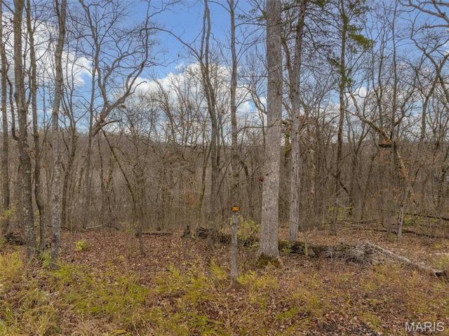 2802 Tyrol Ridge Drive, Innsbrook, MO 63390