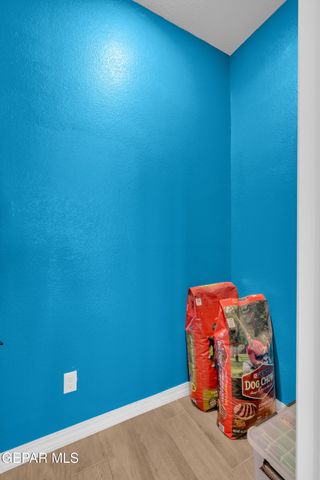 1680 SAM DOMINGUEZ, El Paso, TX 79928