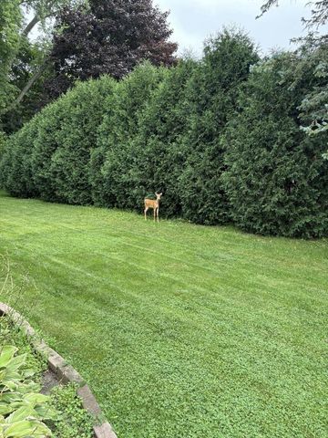 132 W Juniper DRIVE, Grafton, WI 53024