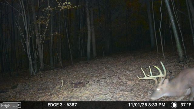 8620 MONNS GAP RD, Waynesboro, PA 17268