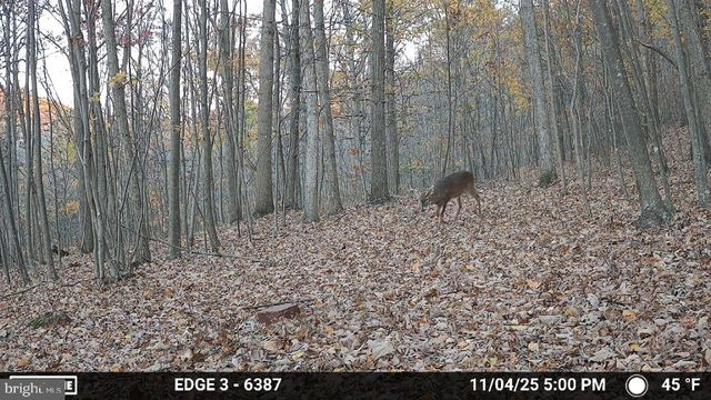 8620 MONNS GAP RD, Waynesboro, PA 17268