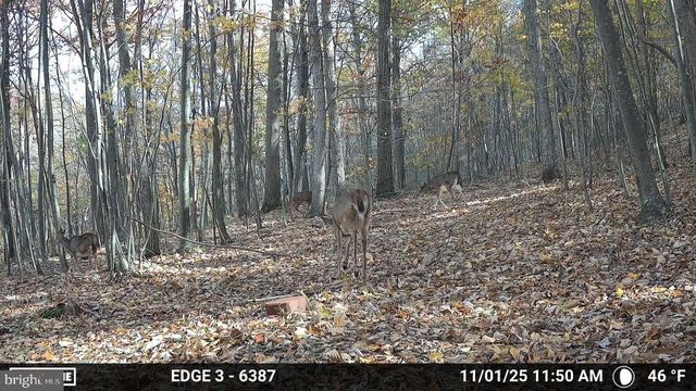 8620 MONNS GAP RD, Waynesboro, PA 17268