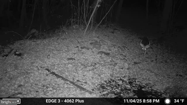 8620 MONNS GAP RD, Waynesboro, PA 17268