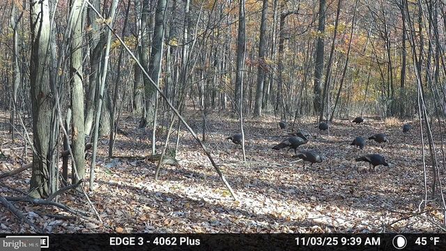 8620 MONNS GAP RD, Waynesboro, PA 17268