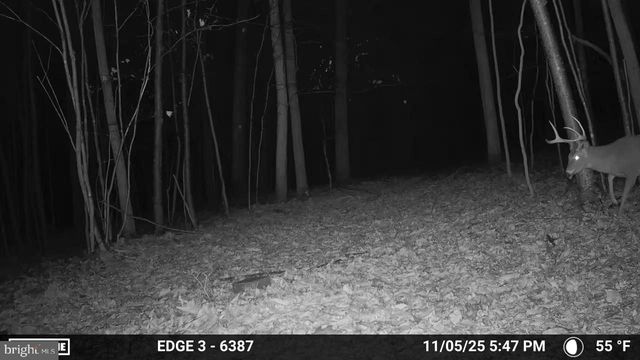 8620 MONNS GAP RD, Waynesboro, PA 17268