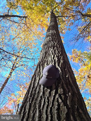 8620 MONNS GAP RD, Waynesboro, PA 17268