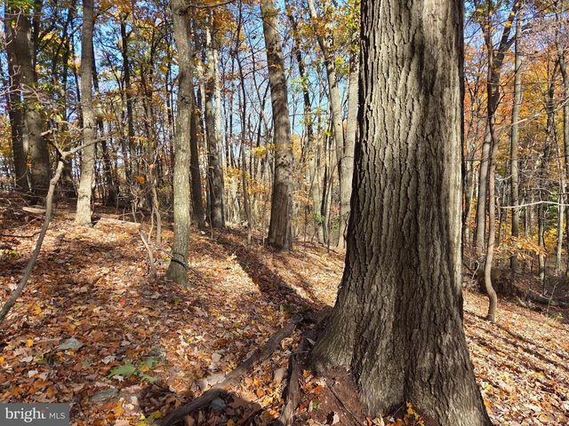 8620 MONNS GAP RD, Waynesboro, PA 17268