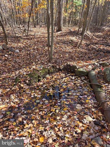 8620 MONNS GAP RD, Waynesboro, PA 17268