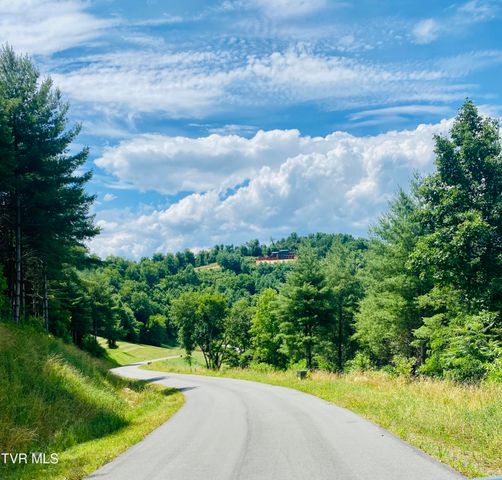 23 Cowan Town Road, Butler, TN 37640