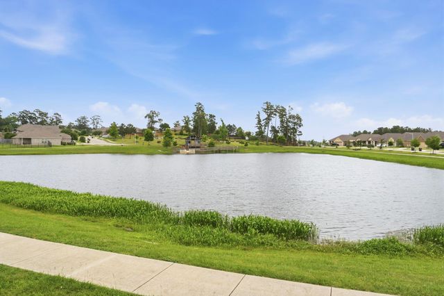 6168 White Spruce Drive, Conroe, TX 77304