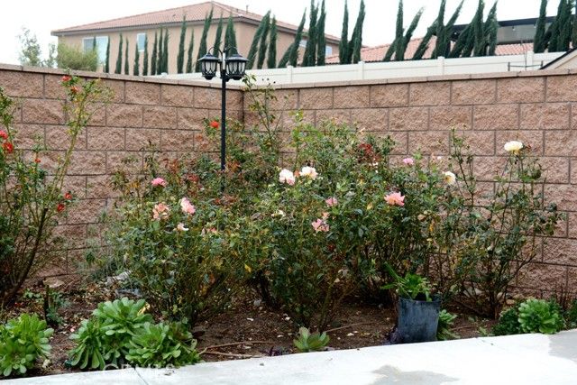 7283 Dimaggio, Riverside, CA 92503