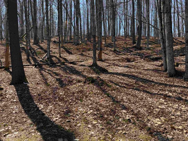 0 Oak Ridge Way, Woodstock, VT 05091