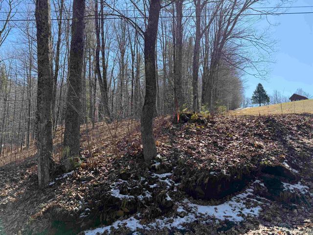 0 Oak Ridge Way, Woodstock, VT 05091
