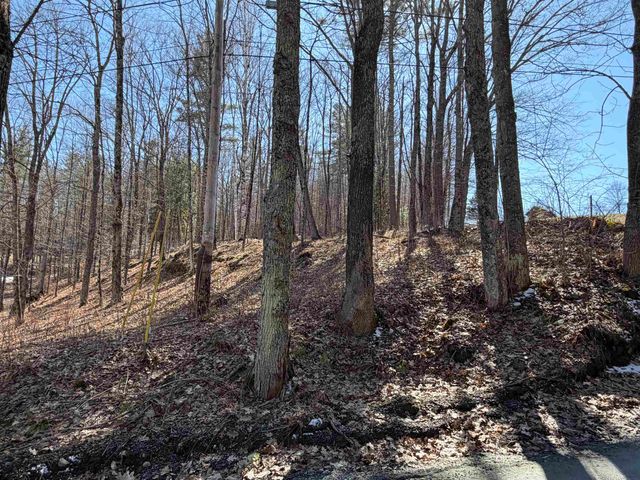 0 Oak Ridge Way, Woodstock, VT 05091