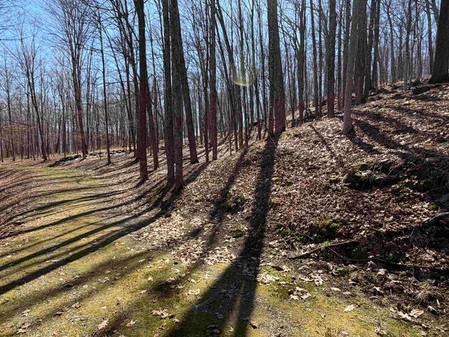 0 Oak Ridge Way, Woodstock, VT 05091