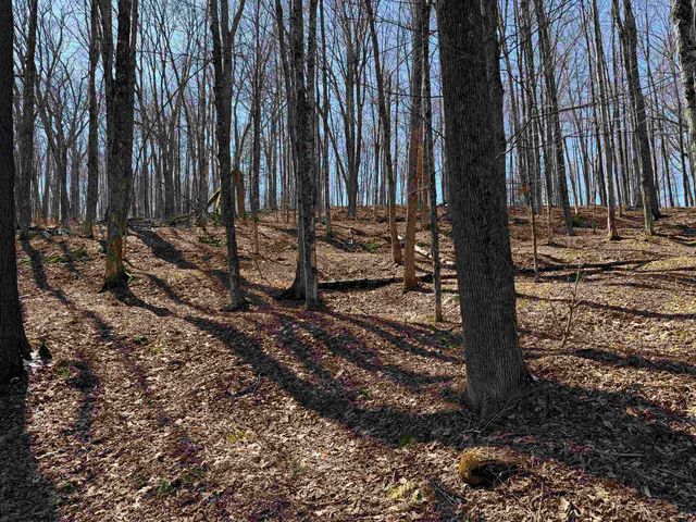 0 Oak Ridge Way, Woodstock, VT 05091