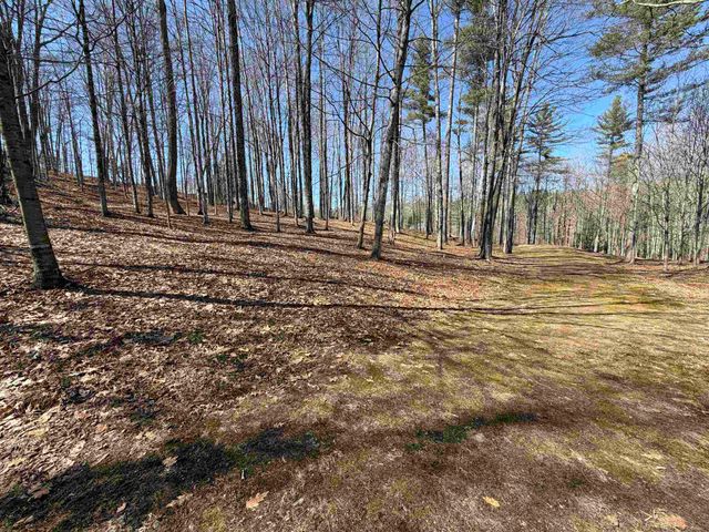 0 Oak Ridge Way, Woodstock, VT 05091