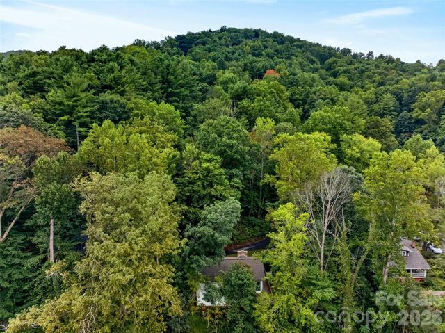 39 Spooks Branch Extension, Asheville, NC 28804