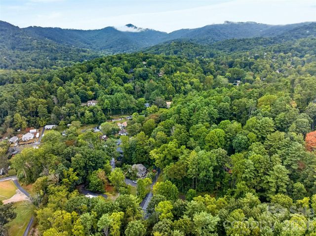 39 Spooks Branch Extension, Asheville, NC 28804