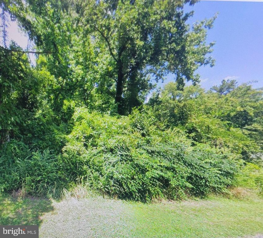 HARRIS LN, Vienna, MD 21869