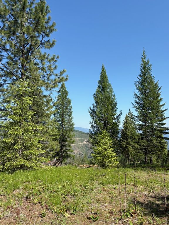 Lot 5 Panoramic View Drive, Libby, MT 59923 photo 3