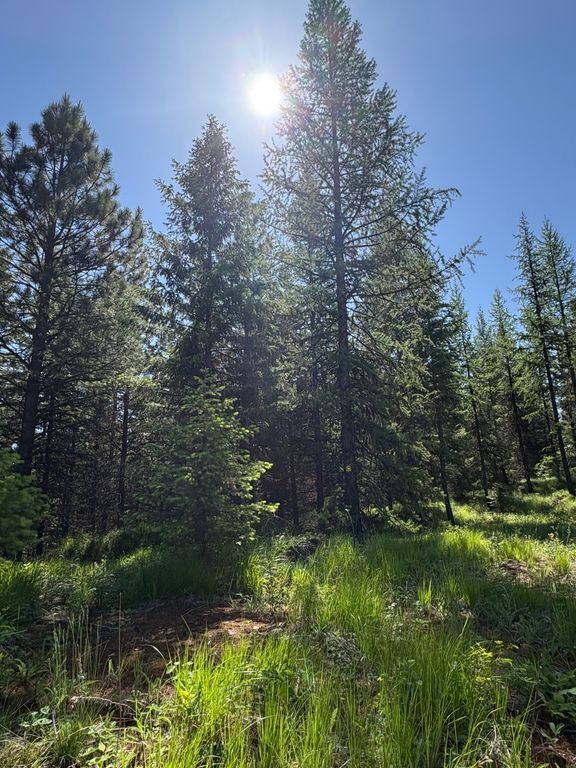 Lot 5 Panoramic View Drive, Libby, MT 59923 photo 6