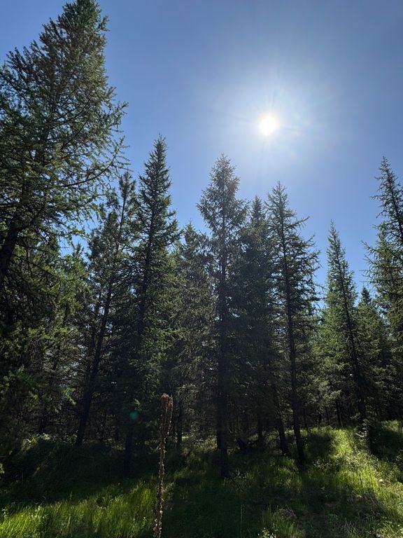 Lot 5 Panoramic View Drive, Libby, MT 59923 photo 7