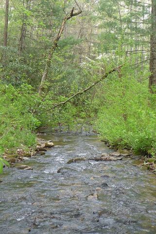 18 & 19 Sarvis Road, Hayesville, NC 28904
