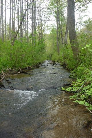 18 & 19 Sarvis Road, Hayesville, NC 28904