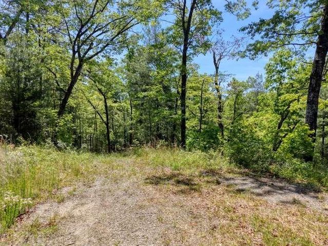 18 & 19 Sarvis Road, Hayesville, NC 28904