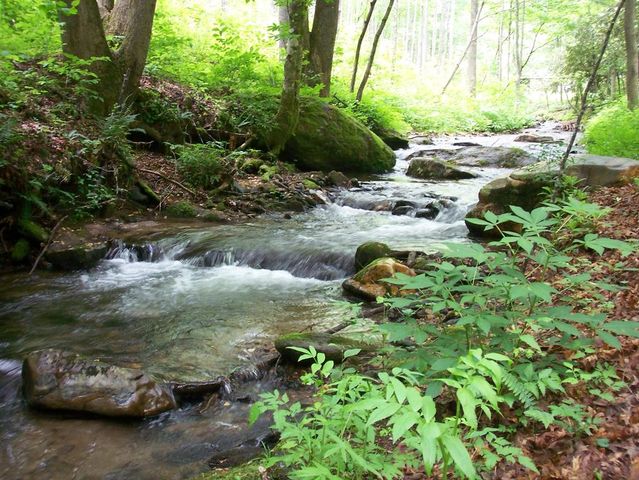 18 & 19 Sarvis Road, Hayesville, NC 28904