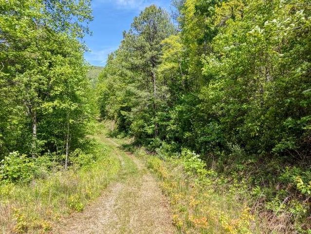18 & 19 Sarvis Road, Hayesville, NC 28904