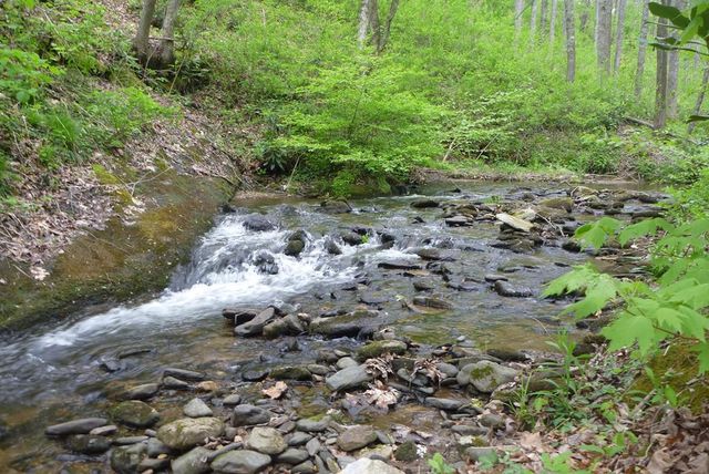 18 & 19 Sarvis Road, Hayesville, NC 28904