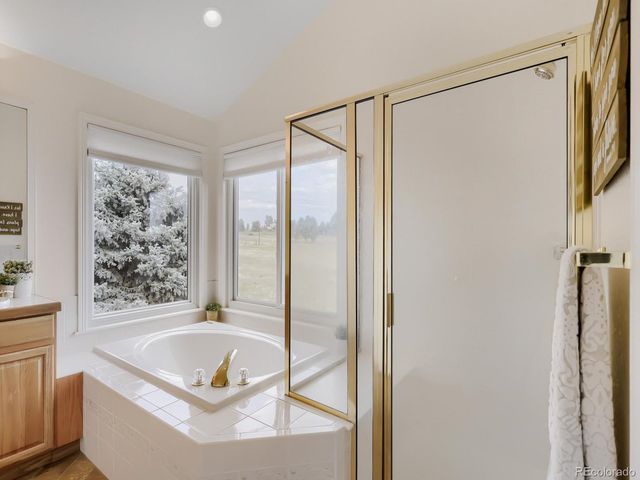 10720 Wildridge Ct, Parker, CO 80138