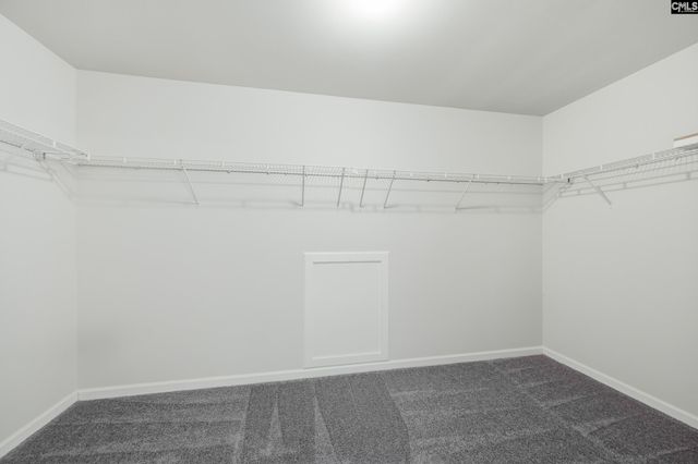 233 Blue Indigo Circle, Irmo, SC 29212