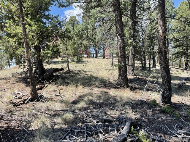971 Spring Valley Lane, Florissant, CO 80816
