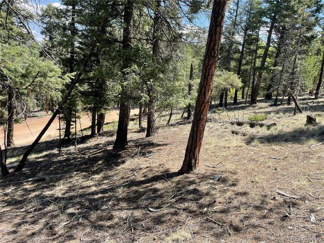 971 Spring Valley Lane, Florissant, CO 80816
