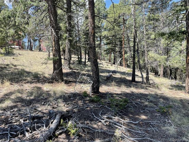 971 Spring Valley Lane, Florissant, CO 80816
