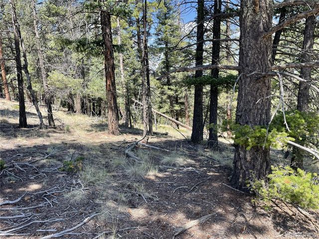 971 Spring Valley Lane, Florissant, CO 80816