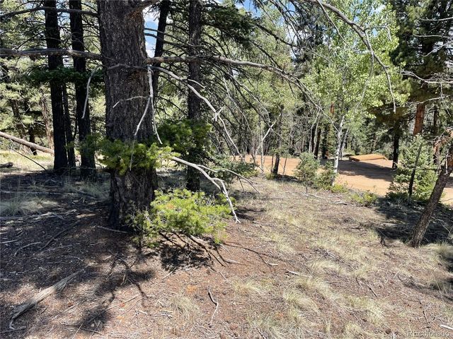 971 Spring Valley Lane, Florissant, CO 80816