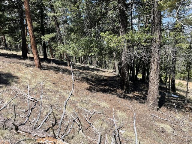 971 Spring Valley Lane, Florissant, CO 80816