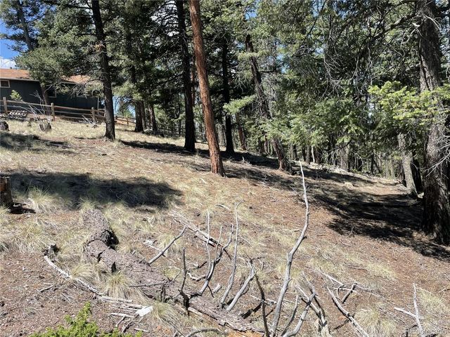 971 Spring Valley Lane, Florissant, CO 80816