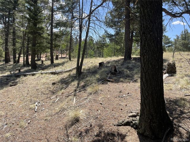 971 Spring Valley Lane, Florissant, CO 80816